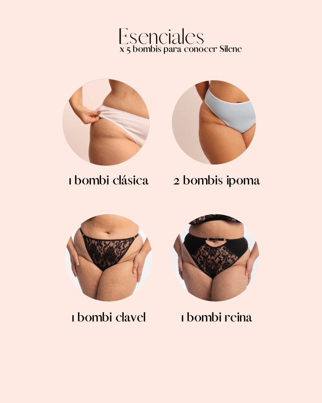 Esenciales - Pack x5 bombis para conocer Silene - Imagen 8